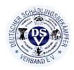 dsv logo